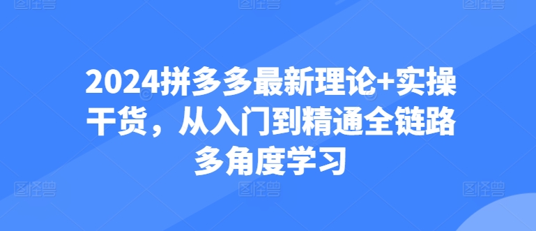 2024拼多多最新理论+实操干货，从入门到精通全链路多角度学习-大齐资源站