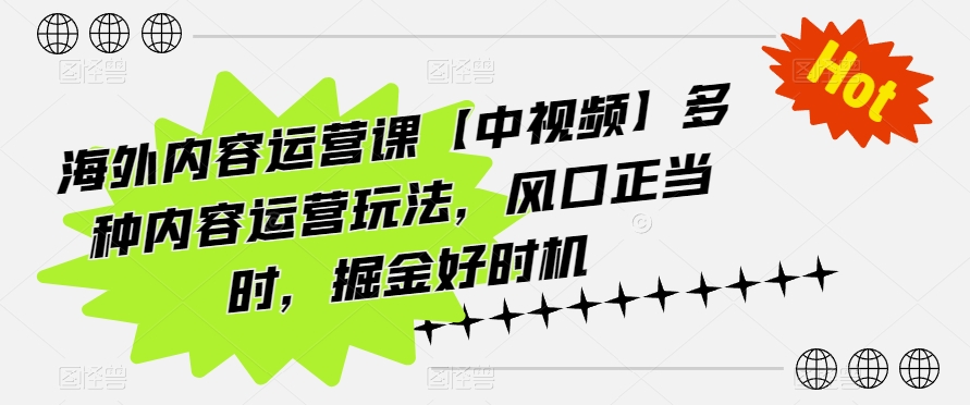 海外内容运营课【中视频】多种内容运营玩法，风口正当时，掘金好时机-大齐资源站