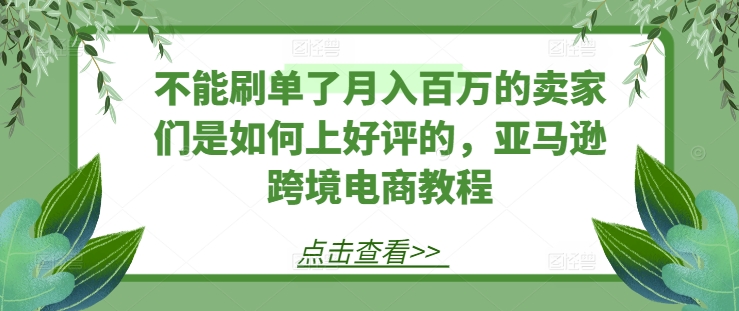 不能刷单了月入百万的卖家们是如何上好评的，亚马逊跨境电商教程-大齐资源站