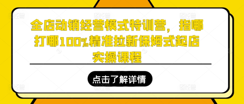 全店动销经营模式特训营，指哪打哪100%精准拉新保姆式起店实操课程-大齐资源站