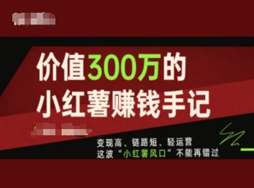 价值300万的小红书赚钱手记，变现高、链路短、轻运营，这波“小红薯风口”不能再错过-大齐资源站