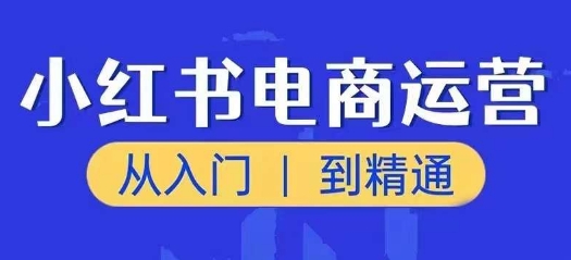 小红书电商运营课，从入门到精通，带你抓住又一个赚钱风口-大齐资源站