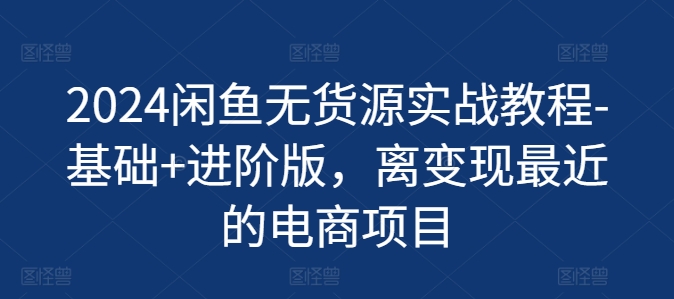 2024闲鱼无货源实战教程-基础+进阶版，离变现最近的电商项目-大齐资源站