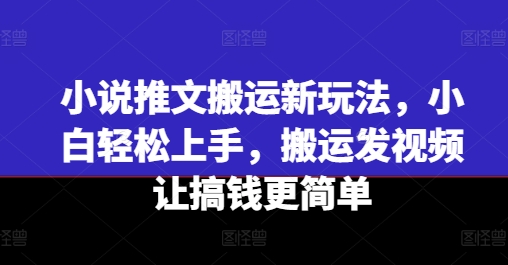 小说推文搬运新玩法，小白轻松上手，搬运发视频让搞钱更简单-大齐资源站