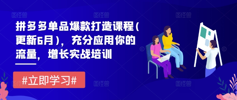 拼多多单品爆款打造课程(更新6月)，充分应用你的流量，增长实战培训-大齐资源站