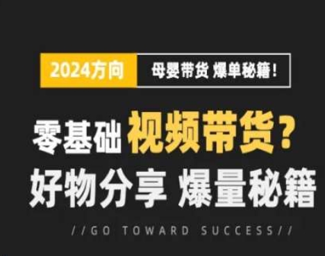 短视频母婴赛道实操流量训练营，零基础视频带货，好物分享，爆量秘籍-大齐资源站