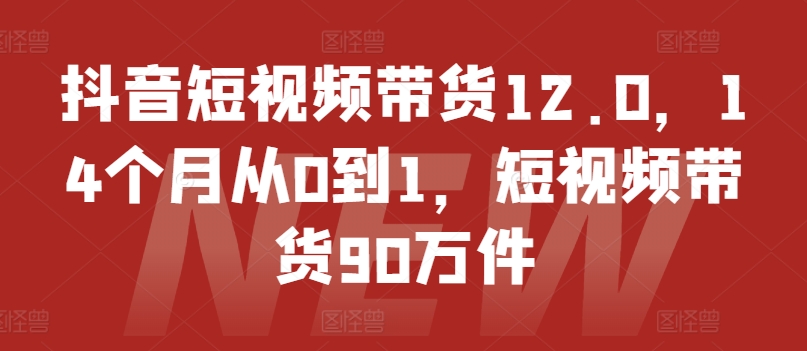 抖音短视频带货12.0，14个月从0到1，短视频带货90万件-大齐资源站