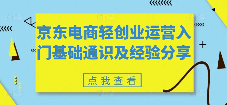 京东电商轻创业运营入门基础通识及经验分享-大齐资源站