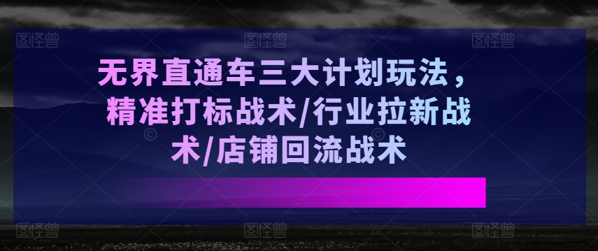 无界直通车三大计划玩法，精准打标战术/行业拉新战术/店铺回流战术-大齐资源站