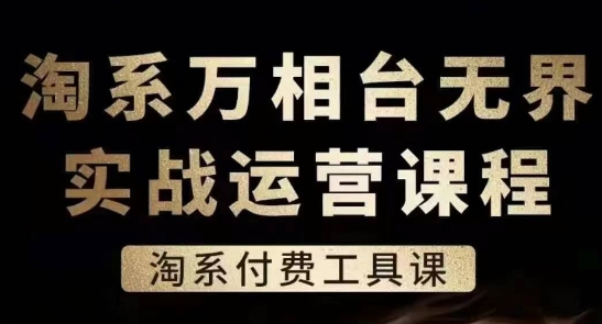 淘系万相台无界实战运营课，淘系付费工具课-大齐资源站