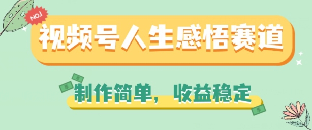 视频号人生感悟赛道，制作简单，收益稳定【揭秘】-大齐资源站