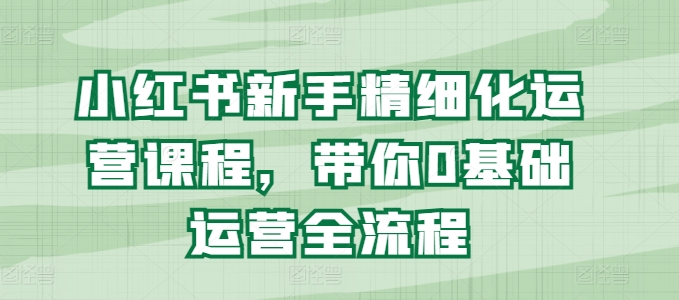 小红书新手精细化运营课程，带你0基础运营全流程-大齐资源站