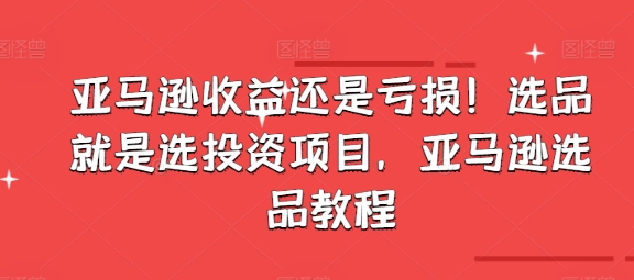 亚马逊收益还是亏损！选品就是选投资项目，亚马逊选品教程-大齐资源站