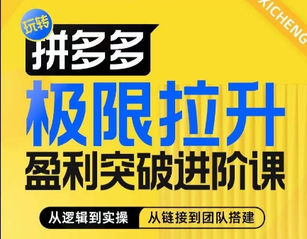 拼多多极限拉升盈利突破进阶课，​从算法到玩法，从玩法到团队搭建，体系化系统性帮助商家实现利润提升-大齐资源站