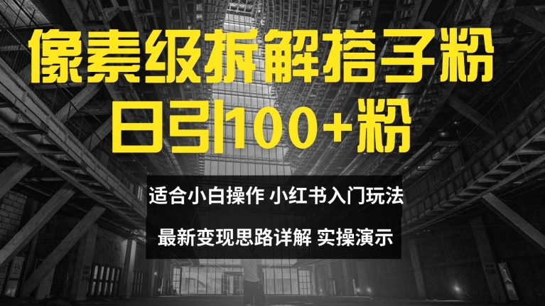 像素级拆解搭子粉，日引100+，小白看完可上手，最新变现思路详解【揭秘】-大齐资源站