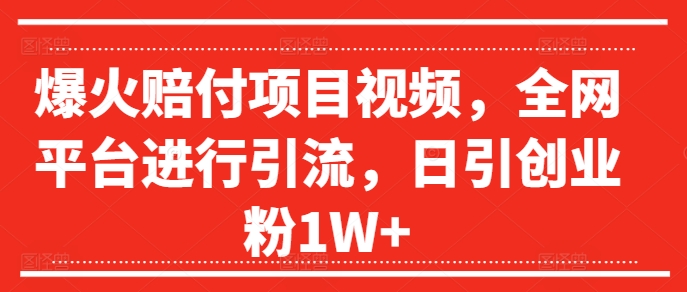 爆火赔付项目视频，全网平台进行引流，日引创业粉1W+【揭秘】-大齐资源站