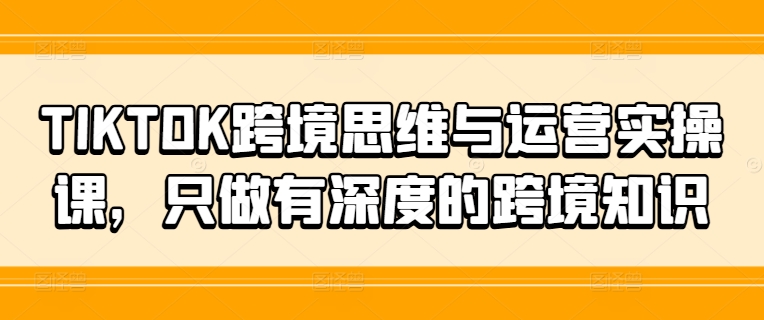 TIKTOK跨境思维与运营实操课，只做有深度的跨境知识-大齐资源站