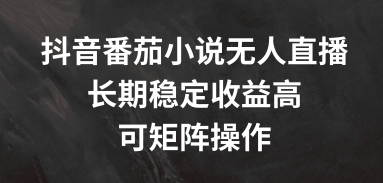 抖音番茄小说无人直播，长期稳定收益高，可矩阵操作【揭秘】-大齐资源站