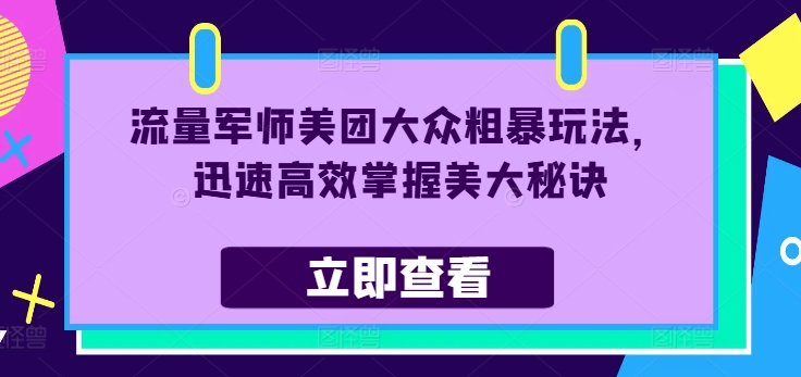 流量军师美团大众粗暴玩法，迅速高效掌握美大秘诀-大齐资源站