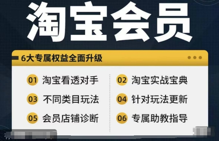 淘宝会员【淘宝所有课程，全面分析对手】，初级到高手全系实战宝典-大齐资源站