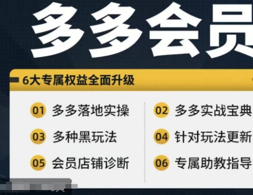 拼多多会员，拼多多实战宝典+实战落地实操，从新手到高阶内容全面覆盖-大齐资源站