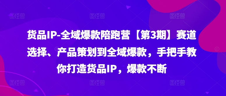 货品IP全域爆款陪跑营【第3期】赛道选择、产品策划到全域爆款，手把手教你打造货品IP，爆款不断-大齐资源站