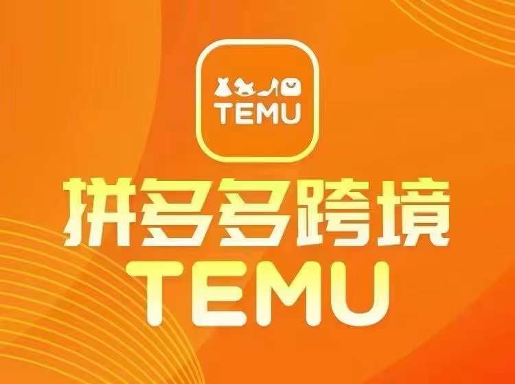 最新TEMU拼多多跨境教程，开店、运营、选品-大齐资源站