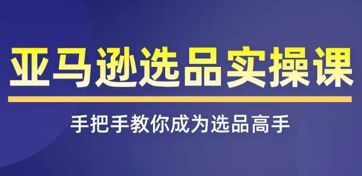 亚马逊选品实操课程，快速掌握亚马逊选品的技巧，覆盖亚马逊选品所有渠道-大齐资源站