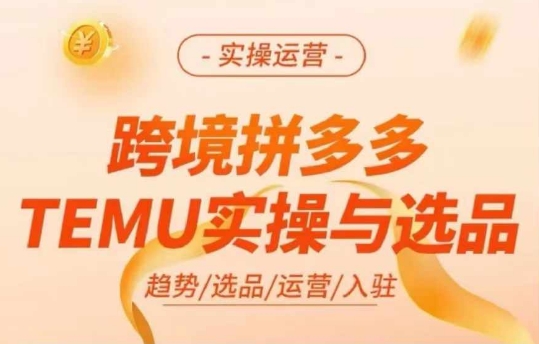 跨境拼多多TEMU实操与选品，多多temu跨境选品运营实操-大齐资源站