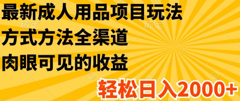 最新成人用品项目玩法，方式方法全渠道，轻松日入2K+【揭秘】-大齐资源站