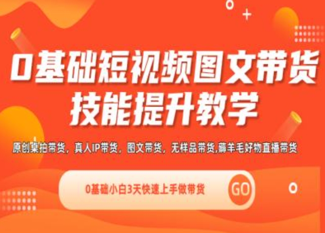 0基础短视频图文带货实操技能提升教学(直播课+视频课),0基础小白3天快速上手做带货-大齐资源站