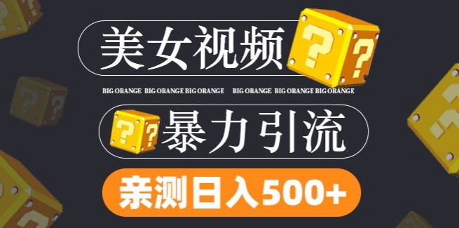 搬运tk美女视频全网分发，日引s粉300+，轻松变现，不限流量不封号【揭秘】-大齐资源站