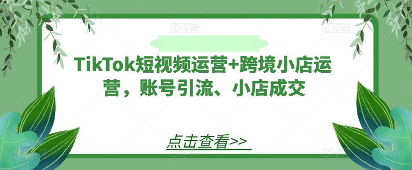 TikTok短视频运营+跨境小店运营，账号引流、小店成交-大齐资源站