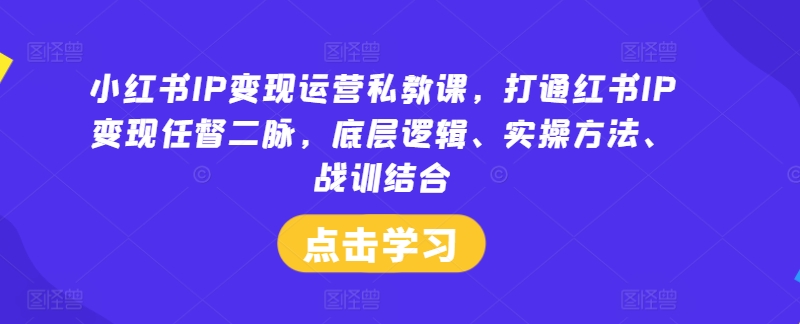 小红书IP变现运营私教课，打通红书IP变现任督二脉，底层逻辑、实操方法、战训结合-大齐资源站