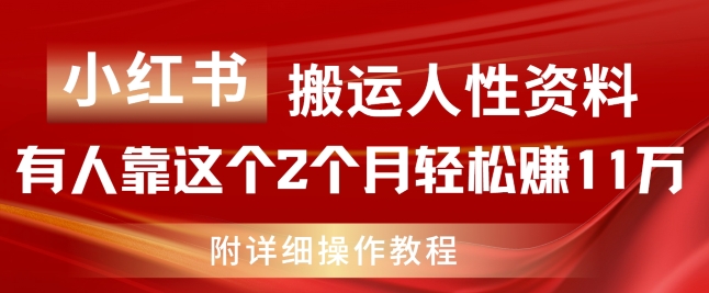 小红书搬运人性资料，有人靠这个2个月轻松赚11w，附教程【揭秘】-大齐资源站