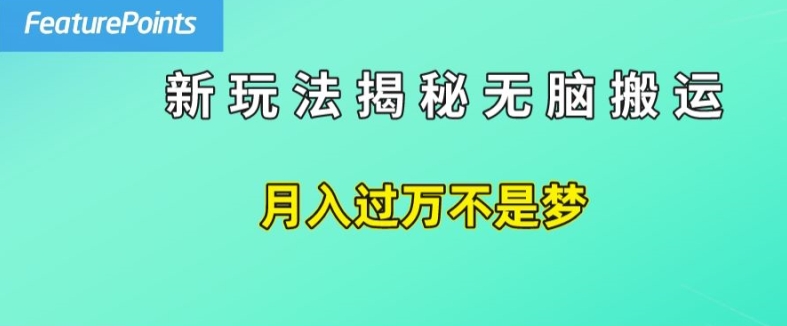 简单操作，每天50美元收入，搬运就是赚钱的秘诀【揭秘】-大齐资源站