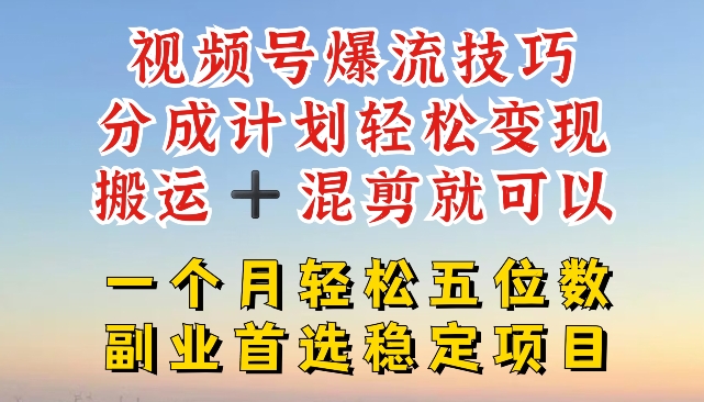 视频号爆流技巧，分成计划轻松变现，搬运 +混剪就可以，一个月轻松五位数稳定项目【揭秘】-大齐资源站