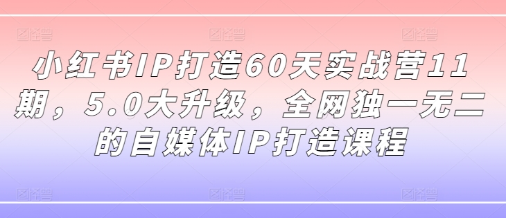 小红书IP打造60天实战营11期，5.0大升级，全网独一无二的自媒体IP打造课程-大齐资源站