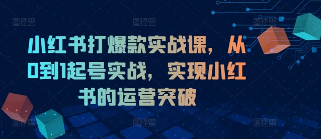 小红书打爆款实战课，从0到1起号实战，实现小红书的运营突破-大齐资源站