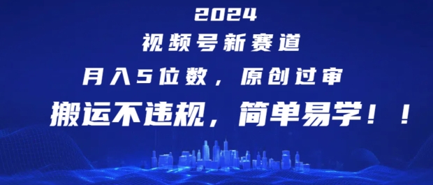 2024视频号新赛道，月入5位数+，原创过审，搬运不违规，简单易学【揭秘】-大齐资源站