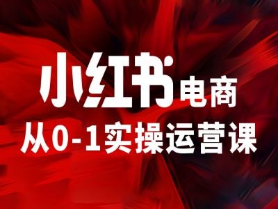 小红书电商从0-1实操运营课，让你从小白到精英-大齐资源站