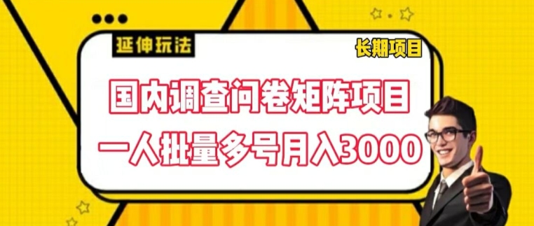 国内调查问卷矩阵项目，一人批量多号月入3000【揭秘】-大齐资源站