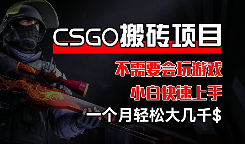 CSGO 装备搬砖项目，操作简单，不需要会玩游戏，小白也能快速上手，一个月轻松大几千【揭秘】-大齐资源站