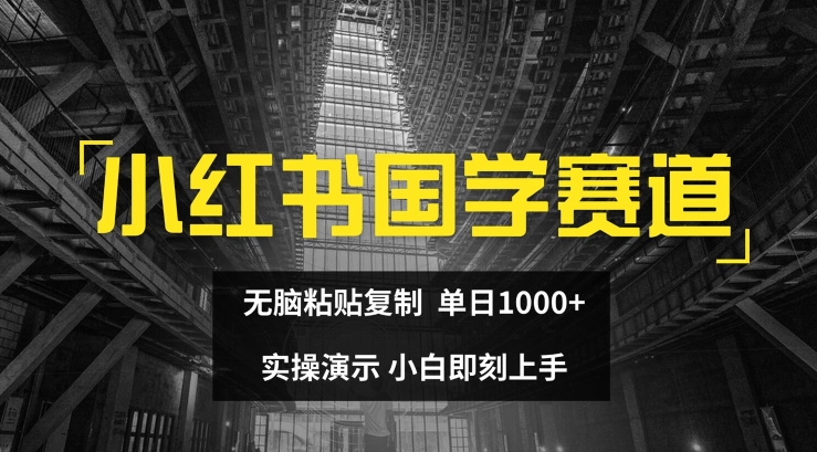 小红书国学赛道，无脑粘贴复制，单日1K，实操演示，小白即刻上手【揭秘】-大齐资源站