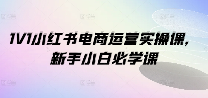 1V1小红书电商运营实操课，新手小白必学课-大齐资源站