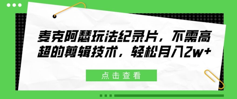 麦克阿瑟玩法纪录片，不需高超的剪辑技术，轻松月入2w+【揭秘】-大齐资源站