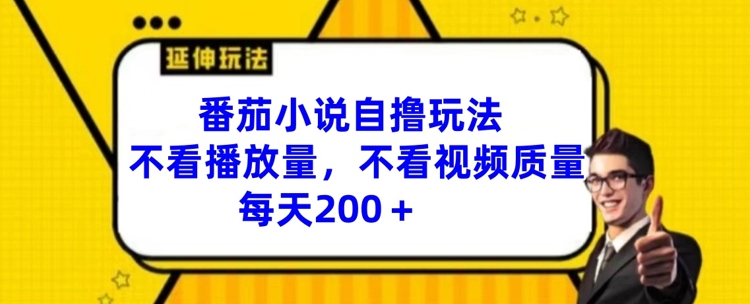 番茄小说自撸玩法，不看播放量，不看视频质量，每天200+【揭秘】-大齐资源站