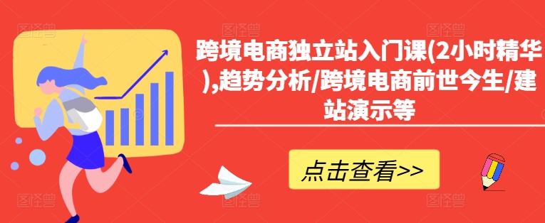 跨境电商独立站入门课(2小时精华),趋势分析/跨境电商前世今生/建站演示等-大齐资源站