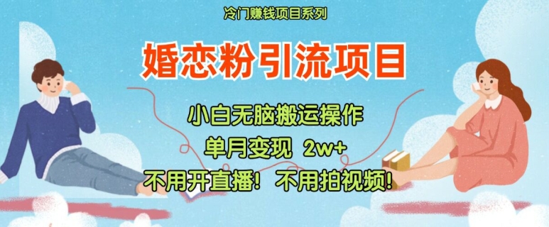 小红书婚恋粉引流，不用开直播，不用拍视频，不用做交付【揭秘】-大齐资源站