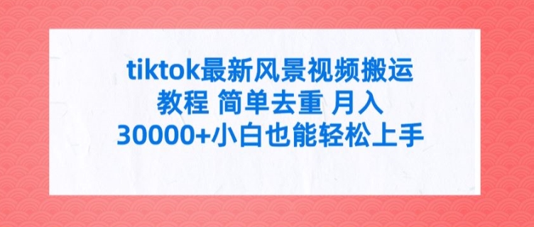 tiktok最新风景视频搬运教程 简单去重 月入3W+小白也能轻松上手【揭秘】-大齐资源站